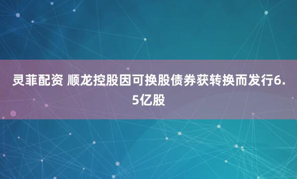 灵菲配资 顺龙控股因可换股债券获转换而发行6.5亿股