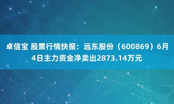 卓信宝 股票行情快报:远东股份(600869)6月4日主力资金净卖出2873.14万元